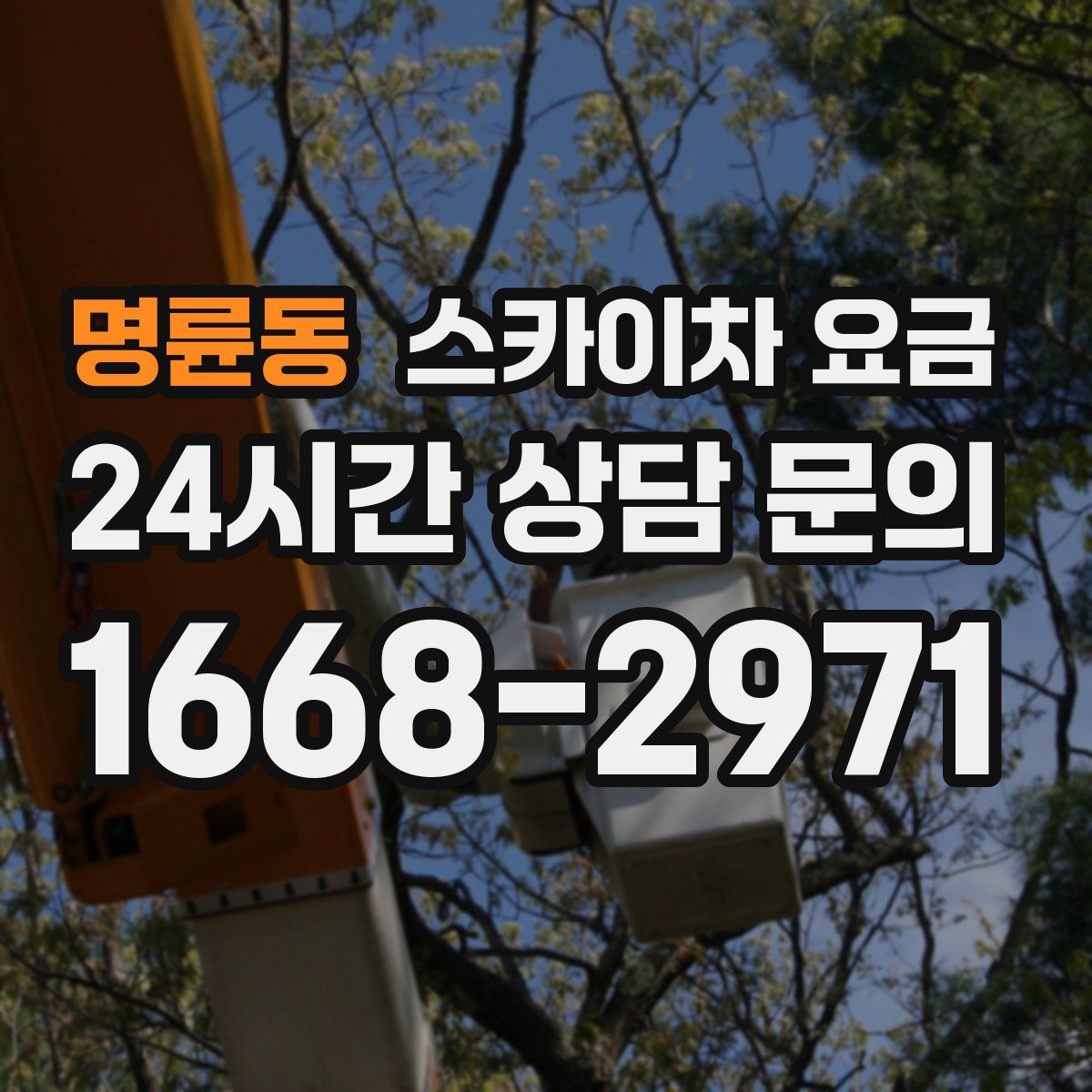 명륜동 스카이차 요금