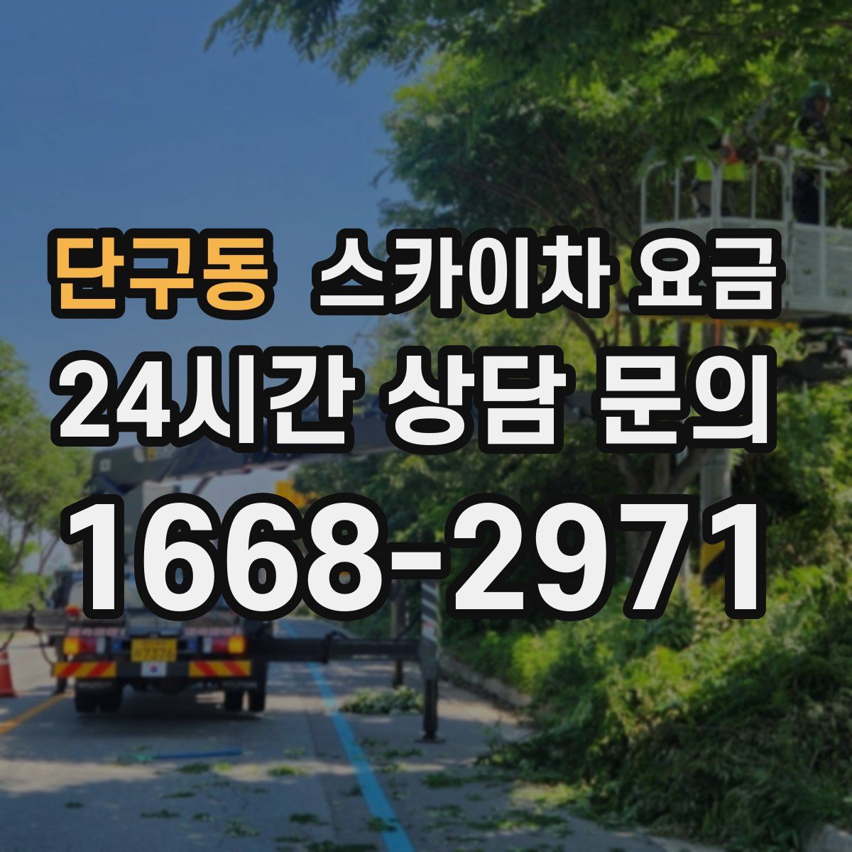 단구동 스카이차 요금