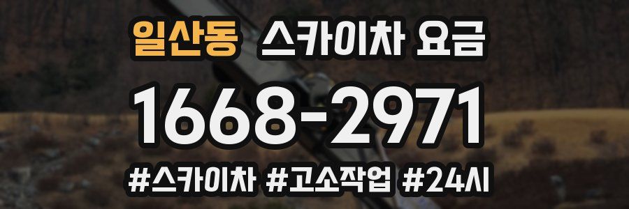 일산동 스카이차 요금