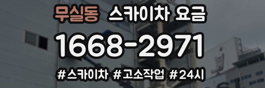 무실동 스카이차 요금