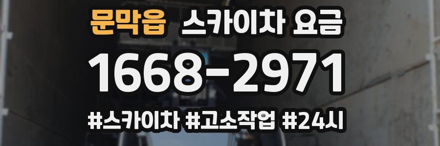 문막읍 스카이차 요금