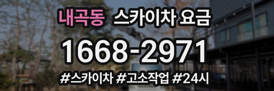 내곡동 스카이차 요금