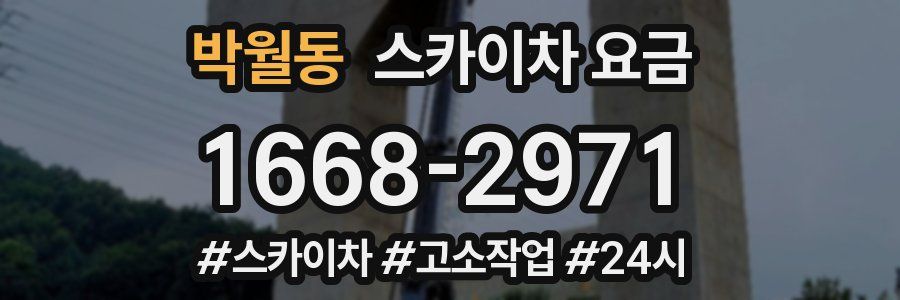 박월동 스카이차 요금