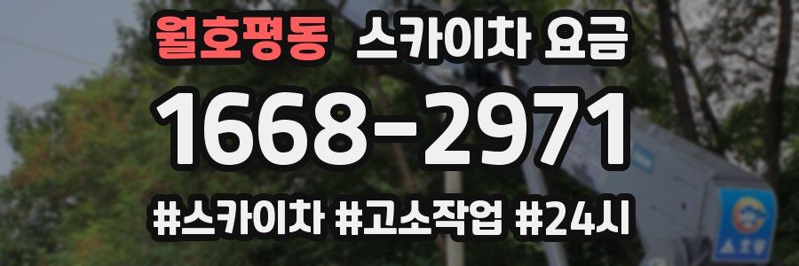 월호평동 스카이차 요금