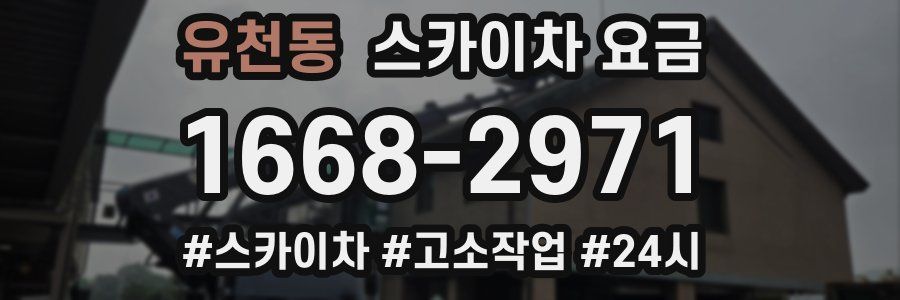 유천동 스카이차 요금