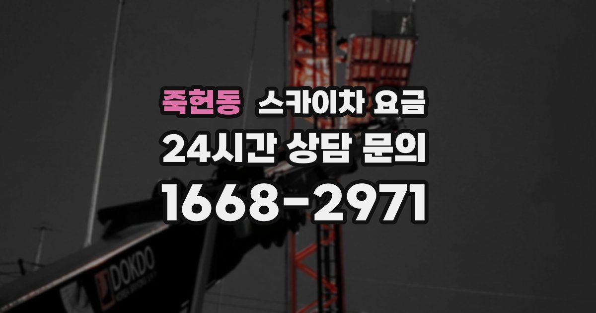 죽헌동 스카이차 요금