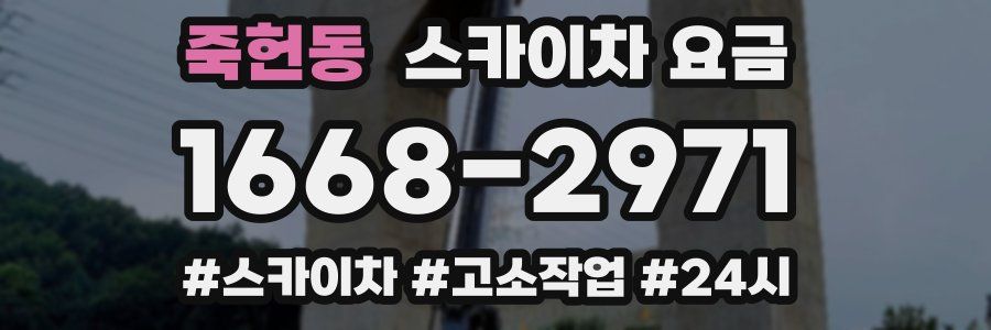 죽헌동 스카이차 요금