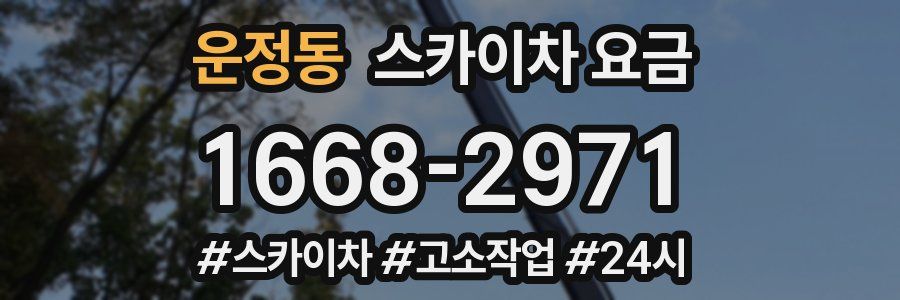 운정동 스카이차 요금