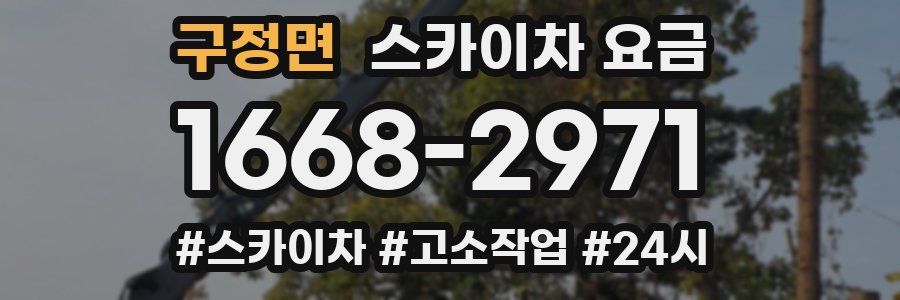구정면 스카이차 요금