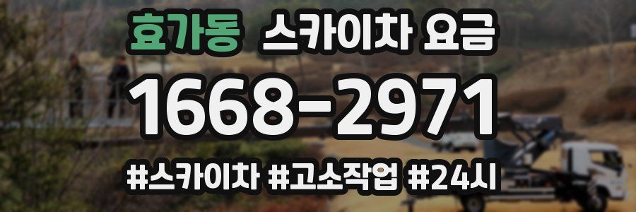 효가동 스카이차 요금