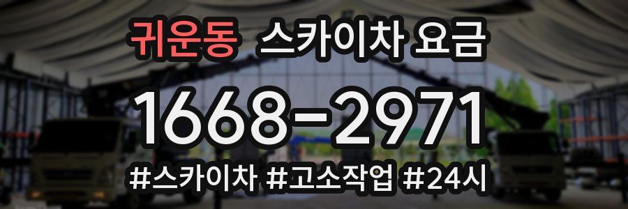 귀운동 스카이차 요금