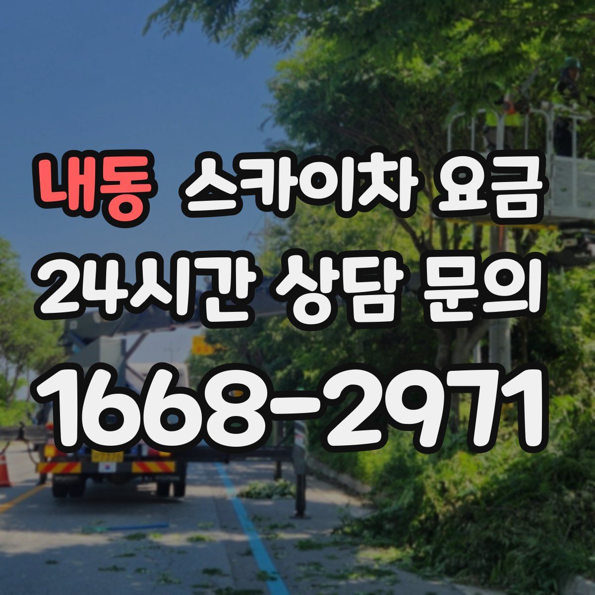 내동 스카이차 요금