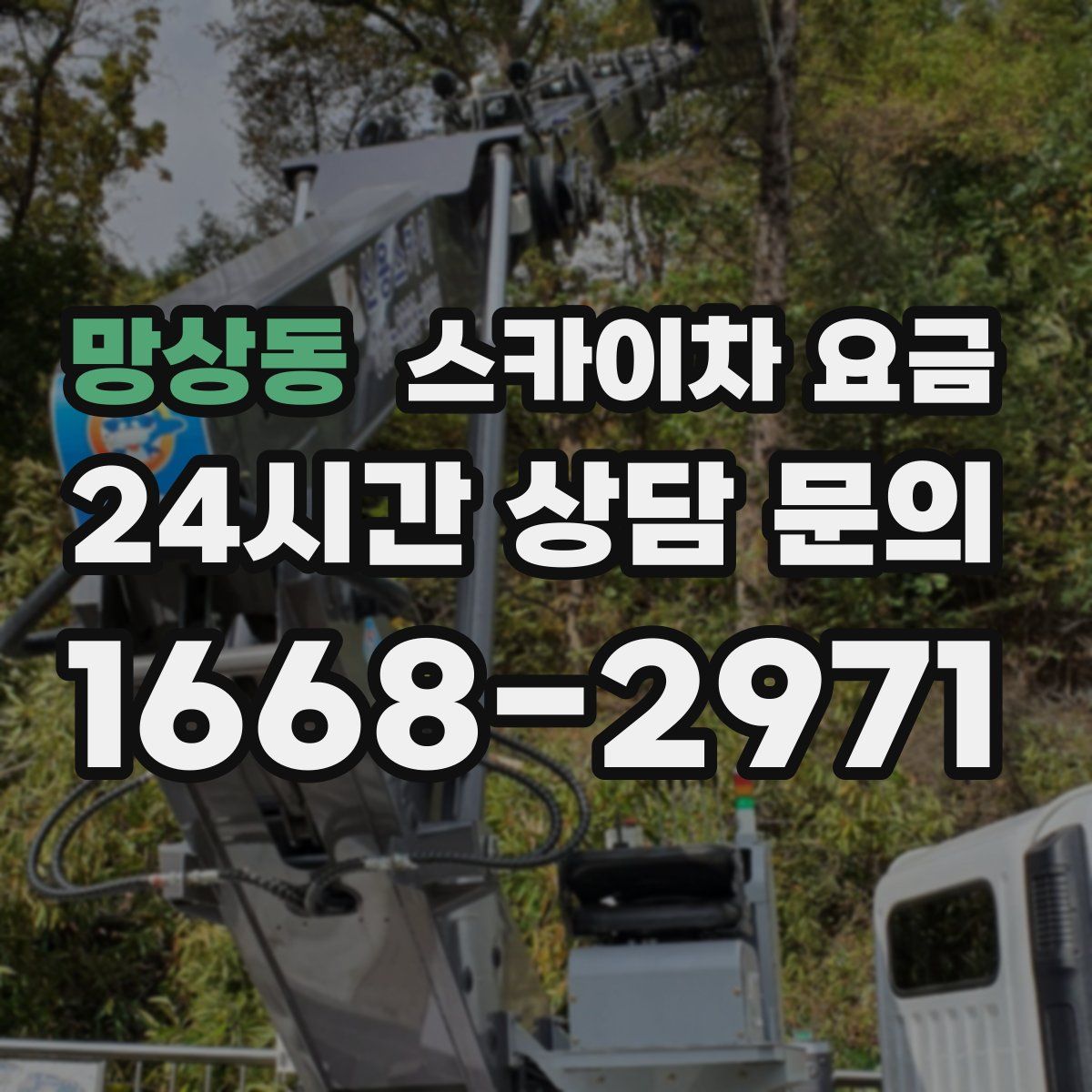 망상동 스카이차 요금