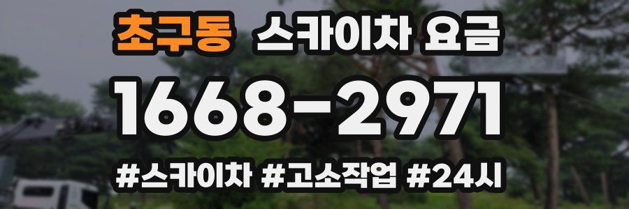초구동 스카이차 요금