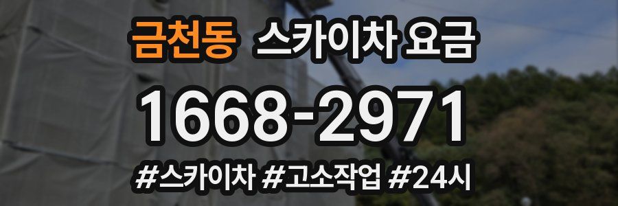 금천동 스카이차 요금