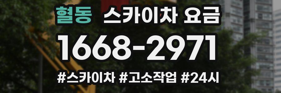 혈동 스카이차 요금