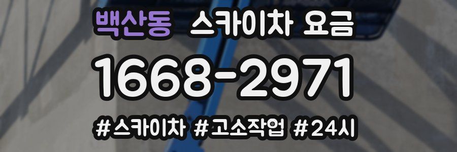백산동 스카이차 요금