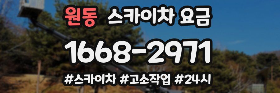원동 스카이차 요금