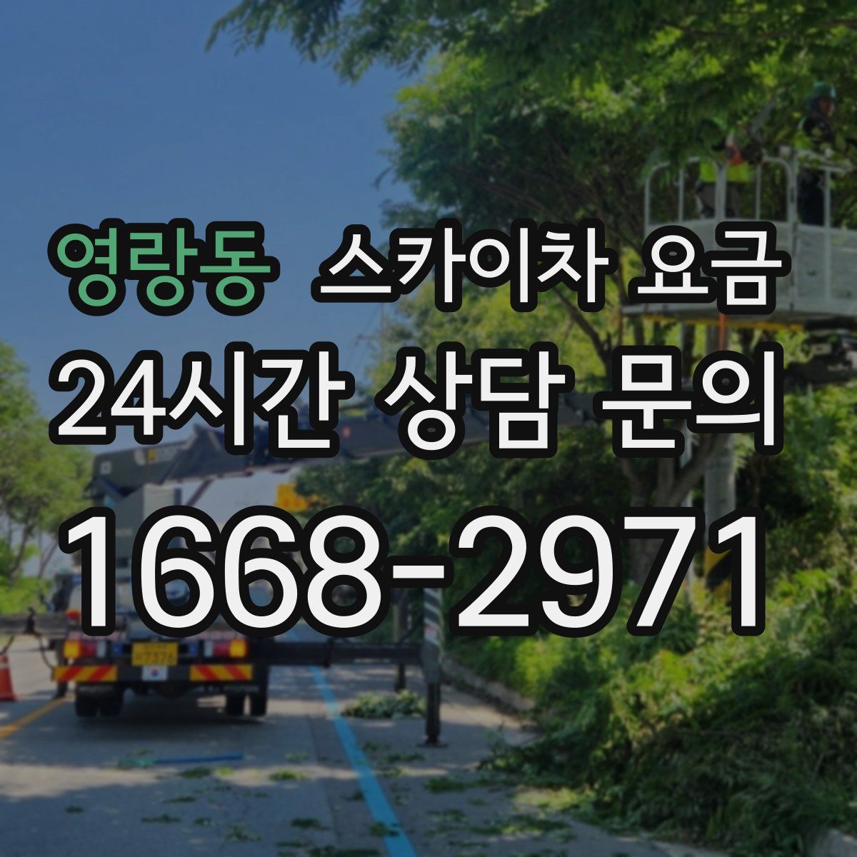 영랑동 스카이차 요금