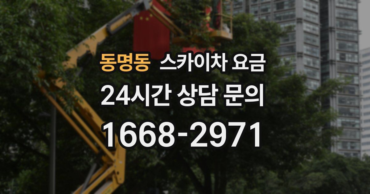동명동 스카이차 요금