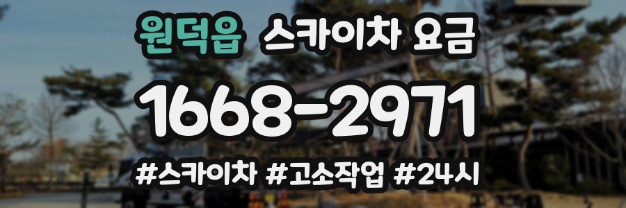 원덕읍 스카이차 요금