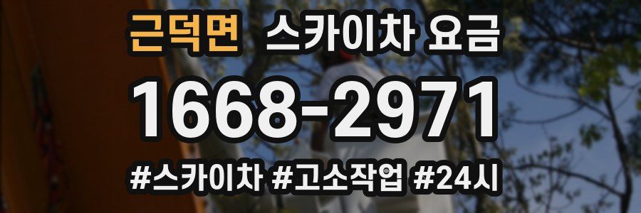 근덕면 스카이차 요금