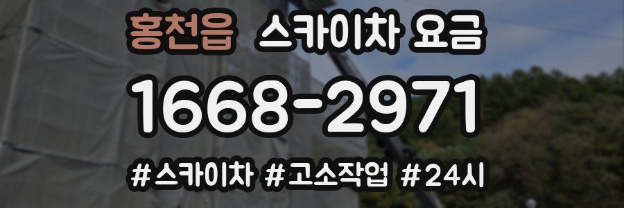 홍천읍 스카이차 요금