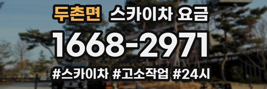 두촌면 스카이차 요금