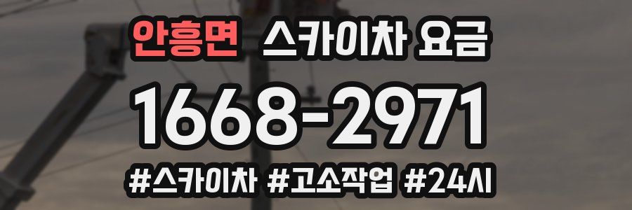 안흥면 스카이차 요금