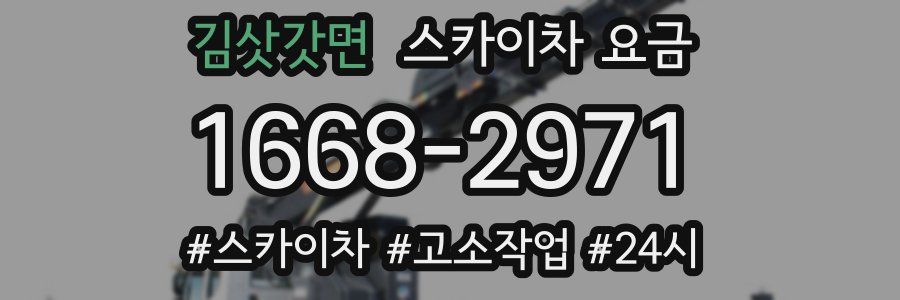 김삿갓면 스카이차 요금