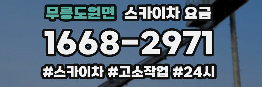 무릉도원면 스카이차 요금
