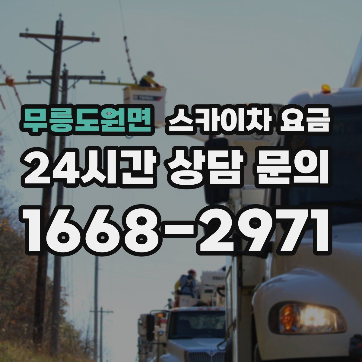 무릉도원면 스카이차 요금