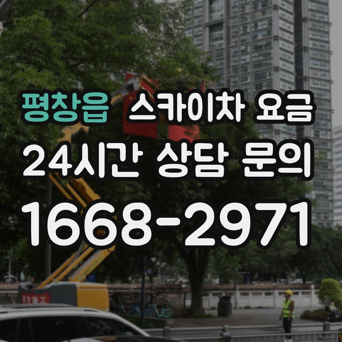 평창읍 스카이차 요금