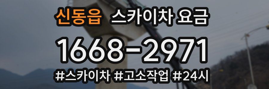 신동읍 스카이차 요금