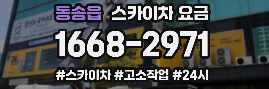 동송읍 스카이차 요금