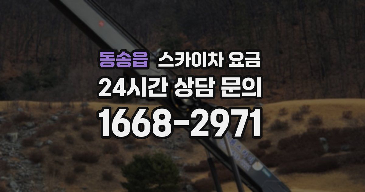 동송읍 스카이차 요금
