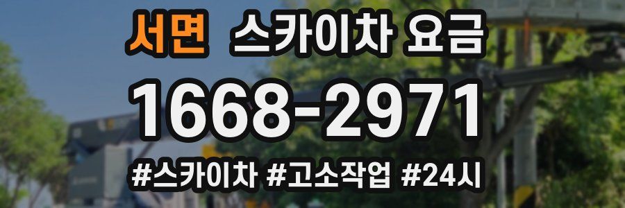 서면 스카이차 요금