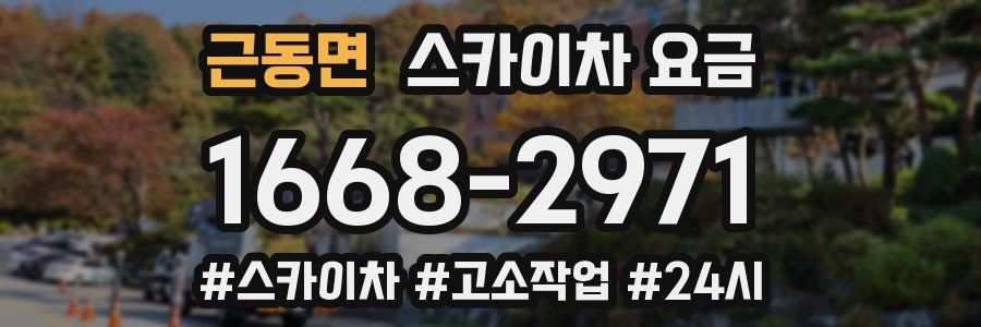 근동면 스카이차 요금