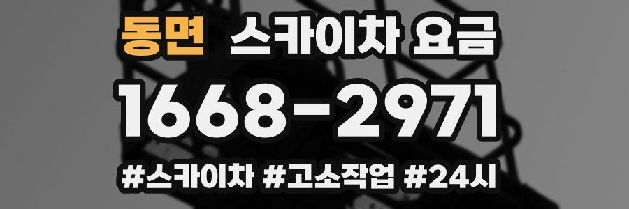 동면 스카이차 요금