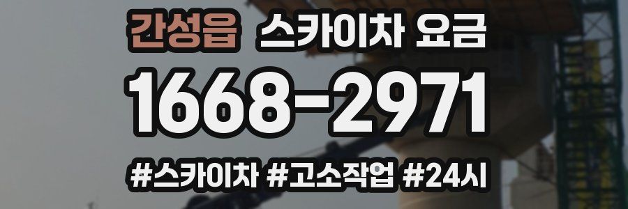 간성읍 스카이차 요금
