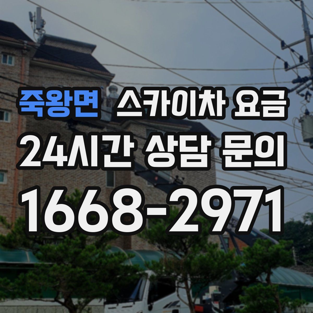 죽왕면 스카이차 요금