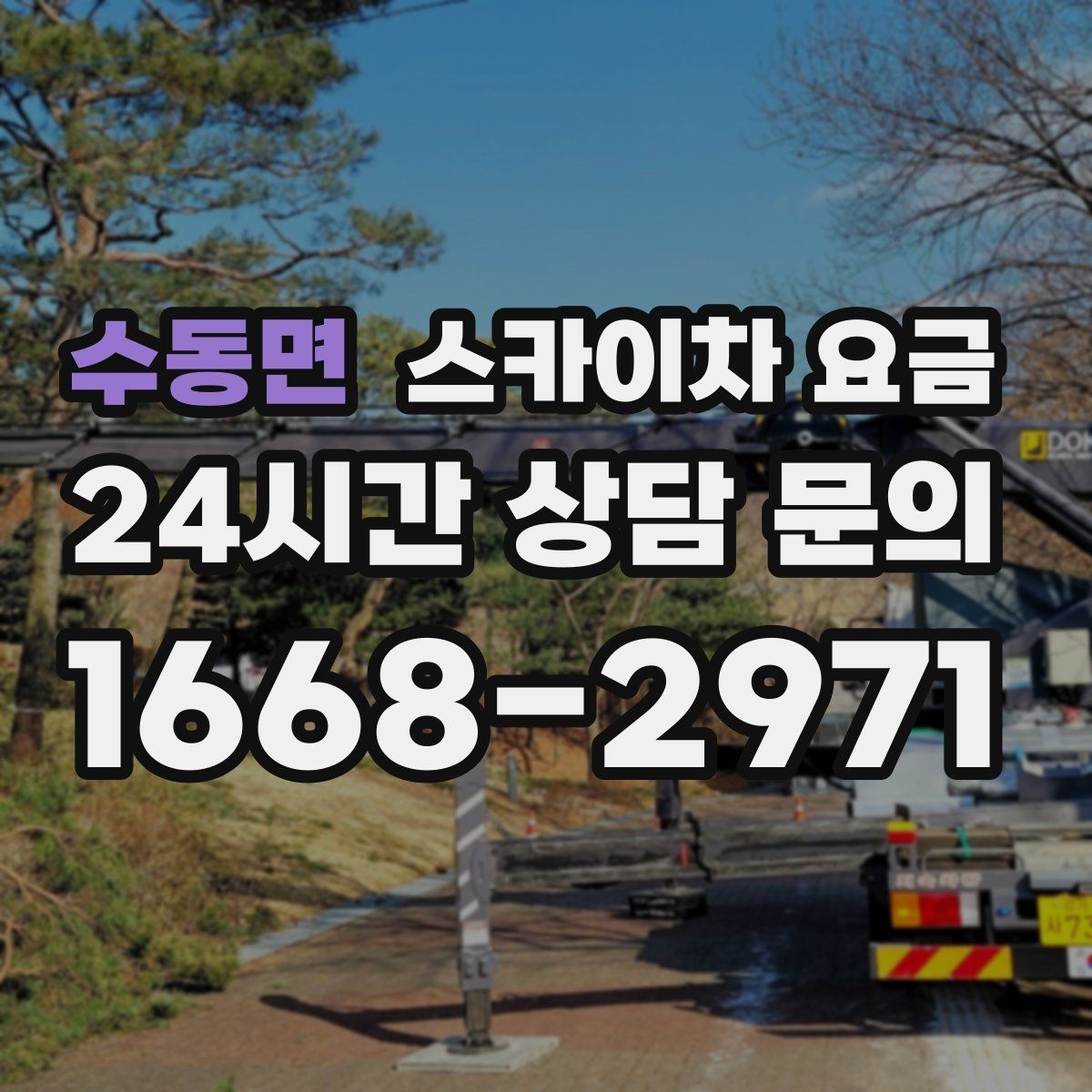 수동면 스카이차 요금