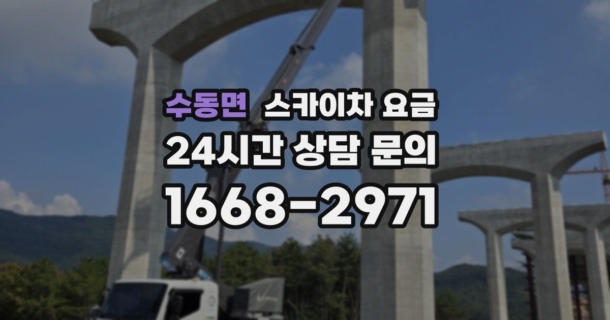 수동면 스카이차 요금