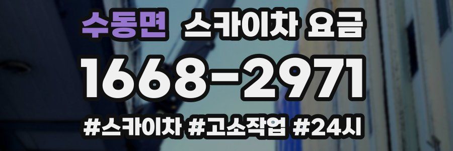 수동면 스카이차 요금