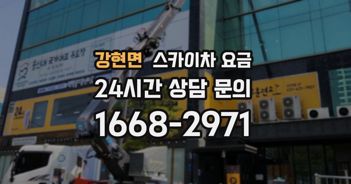 강현면 스카이차 요금