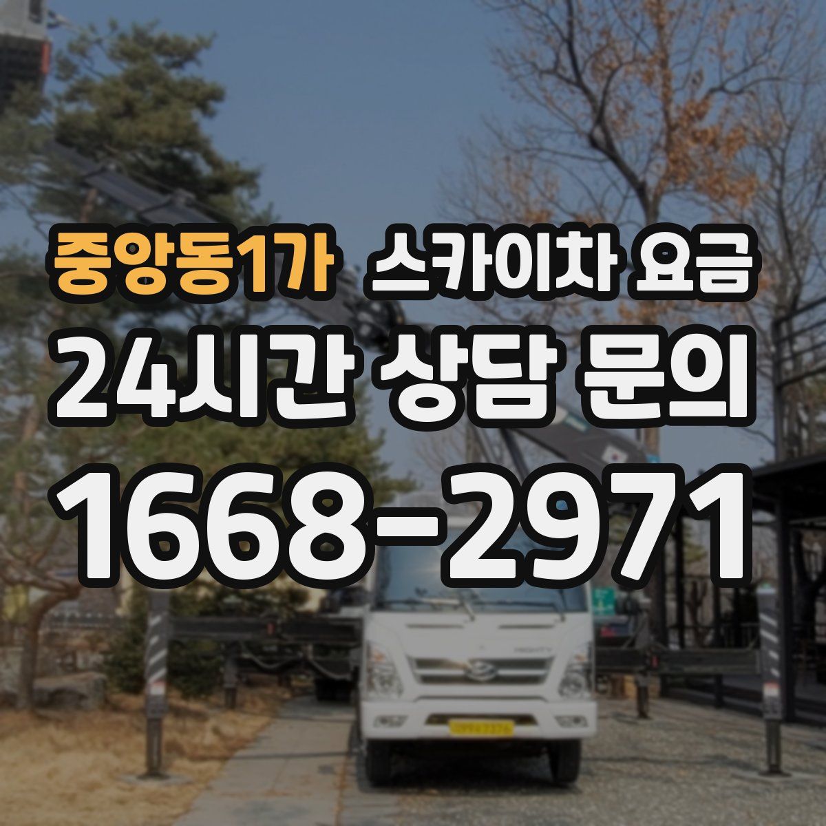 중앙동1가 스카이차 요금