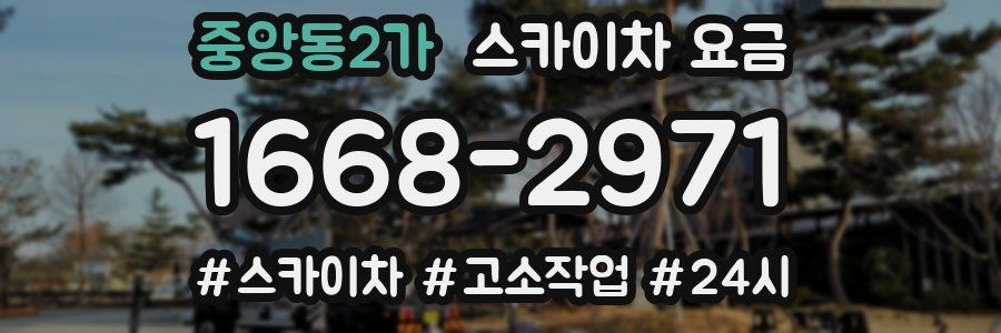 중앙동2가 스카이차 요금