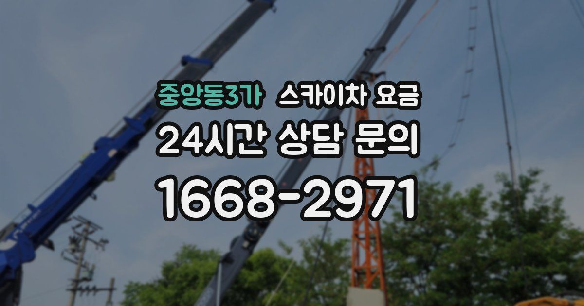 중앙동3가 스카이차 요금