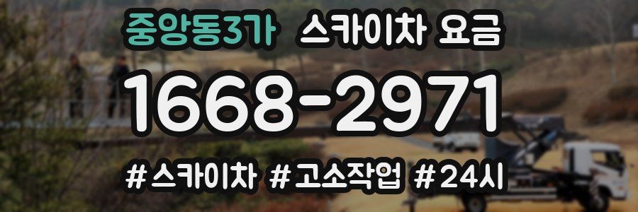 중앙동3가 스카이차 요금