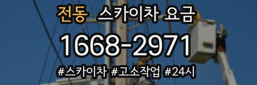 전동 스카이차 요금